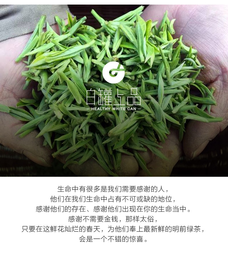 覆膜鐵白罐小罐茶應用之九溪明前獅峰龍井茶